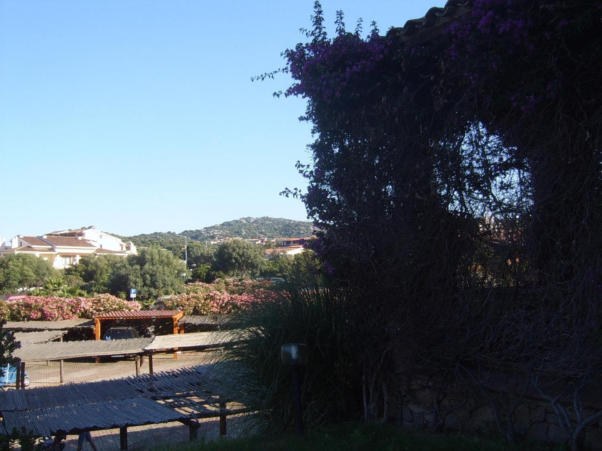 Sole&Luna Apartments Porto Rotondo Ruang foto