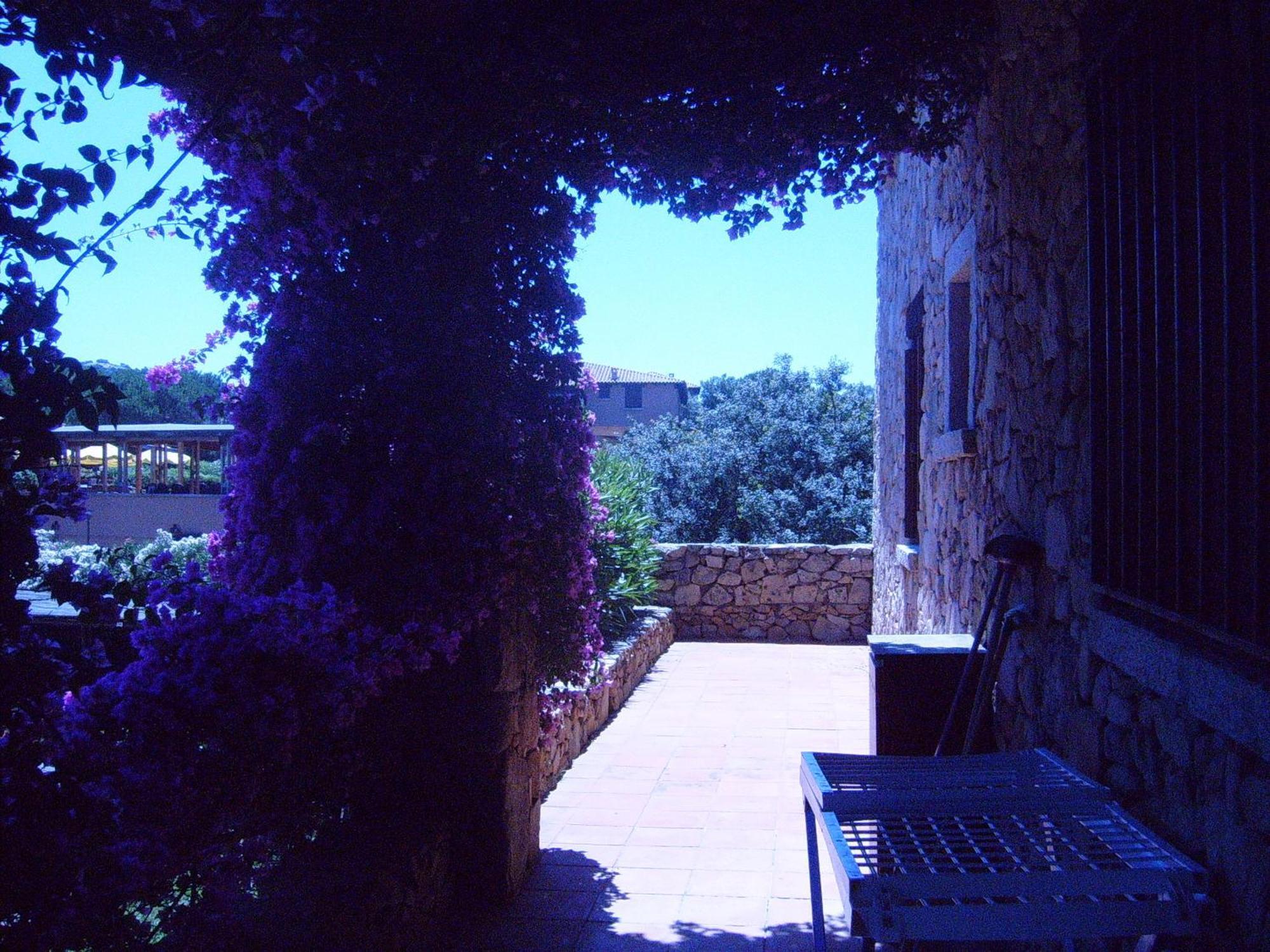 Sole&Luna Apartments Porto Rotondo Bagian luar foto