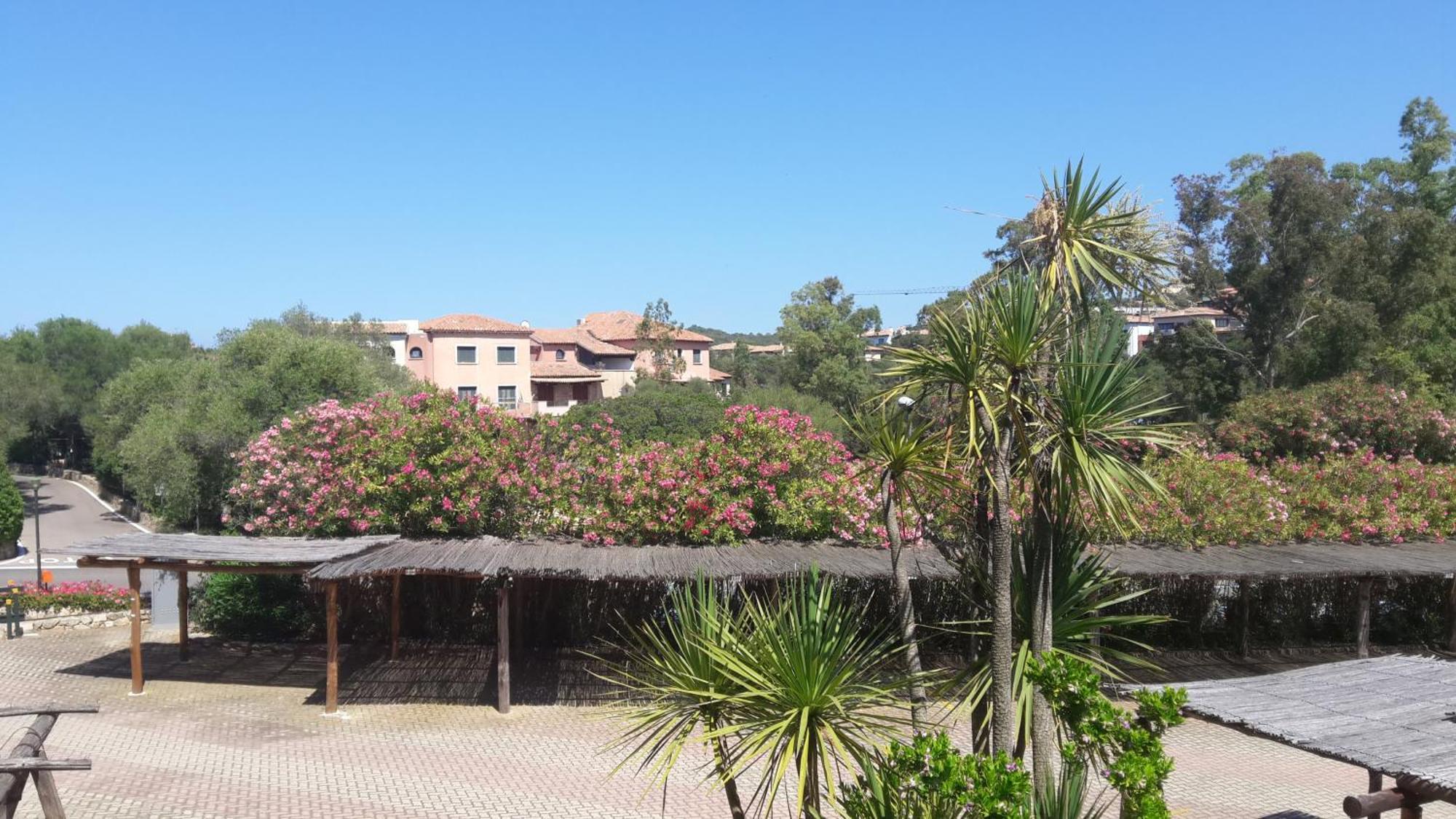 Sole&Luna Apartments Porto Rotondo Bagian luar foto